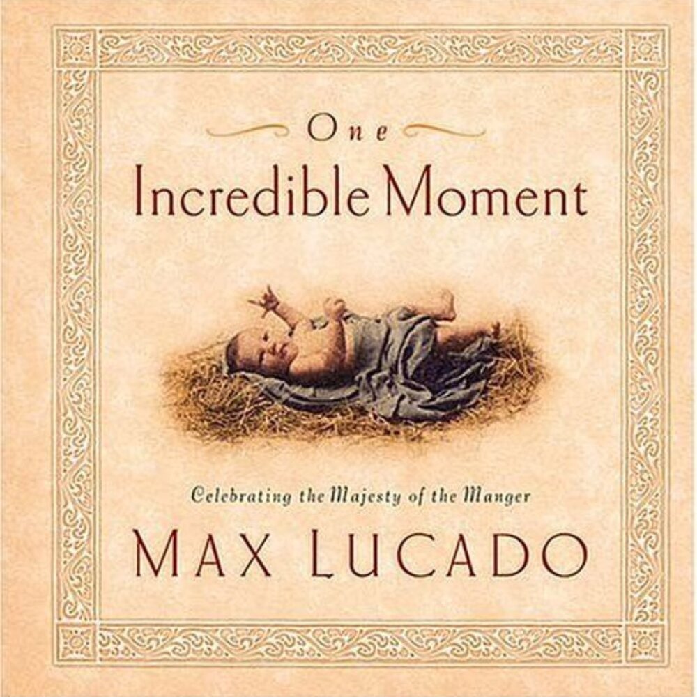 One Incredible Moment Celebrating the Majesty of the Manger